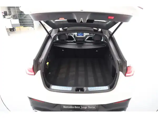 MERCEDES-BENZ GLC (26/27)