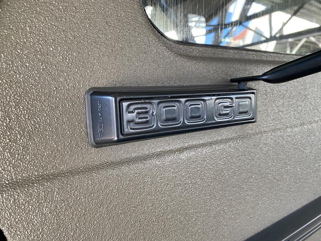 MERCEDES-BENZ PUCH 300 GD (18/29)
