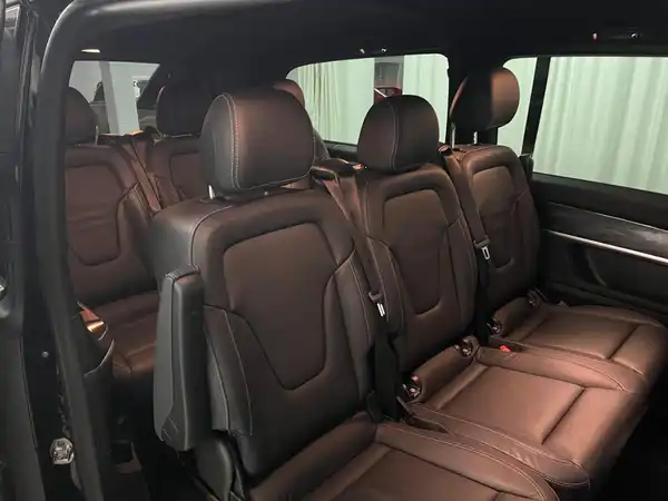 MERCEDES-BENZ V 300 d (15/21)