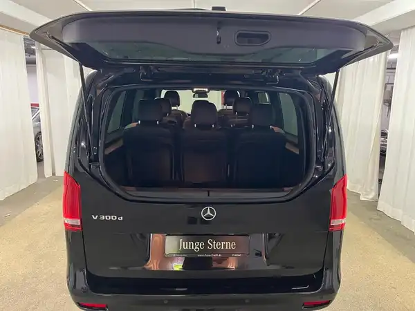 MERCEDES-BENZ V 300 d (19/21)