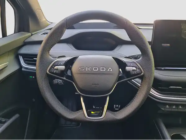 ŠKODA ENYAQ (11/17)