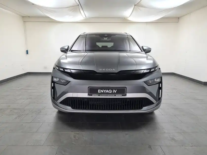 ŠKODA ENYAQ (1/17)