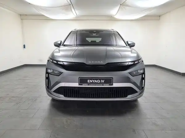 ŠKODA ENYAQ (1/17)