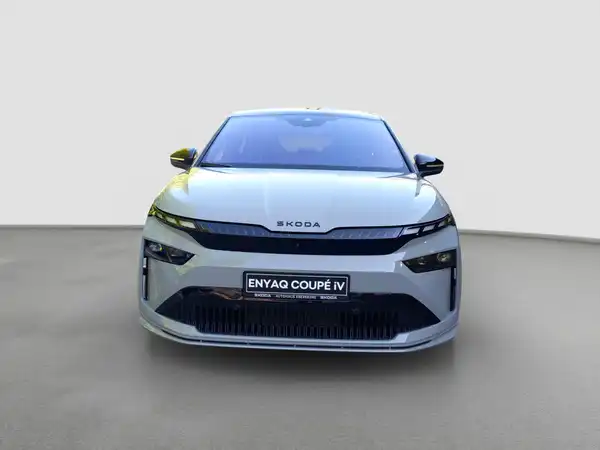 ŠKODA ENYAQ (1/16)