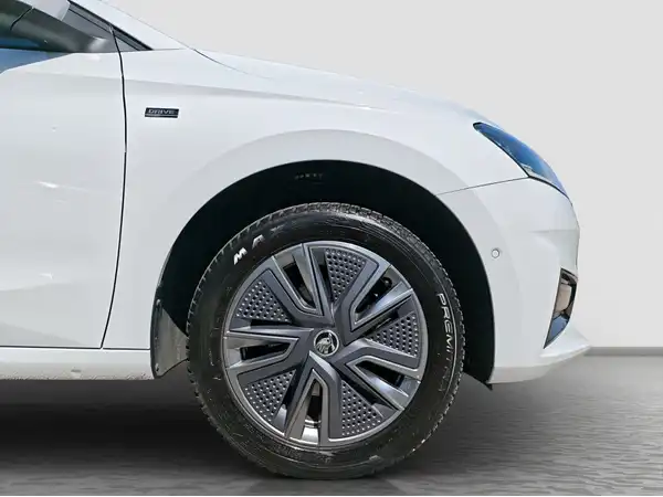 ŠKODA FABIA (17/17)