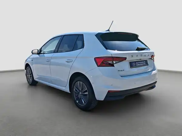 ŠKODA FABIA (7/17)