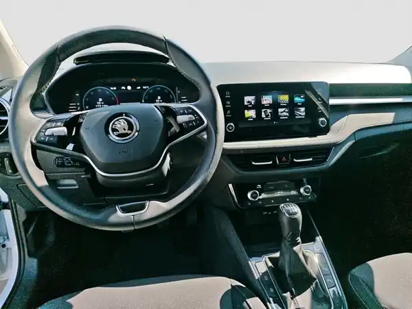 ŠKODA FABIA (10/17)