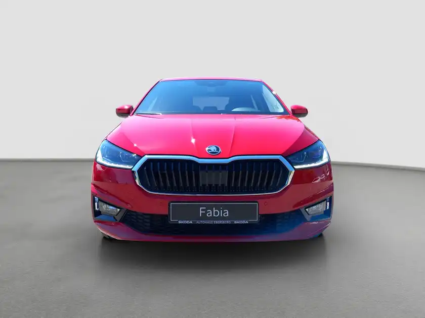 ŠKODA FABIA (1/15)