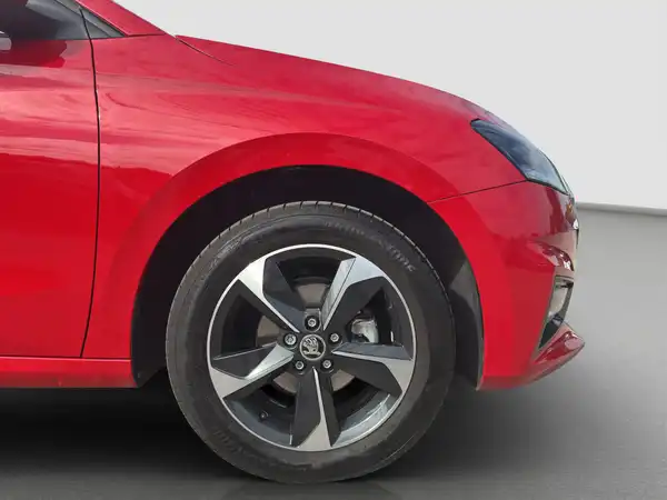 ŠKODA FABIA (17/17)