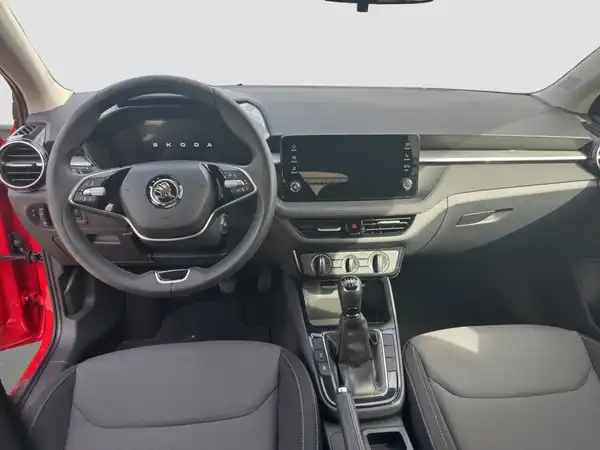 ŠKODA FABIA (10/17)