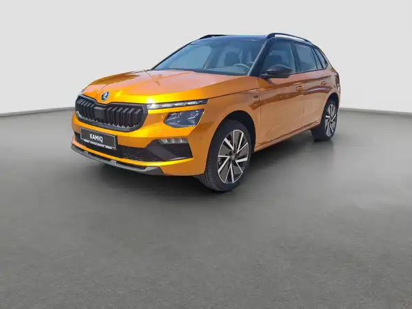ŠKODA KAMIQ (1/17)