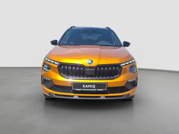 ŠKODA KAMIQ (3/17)