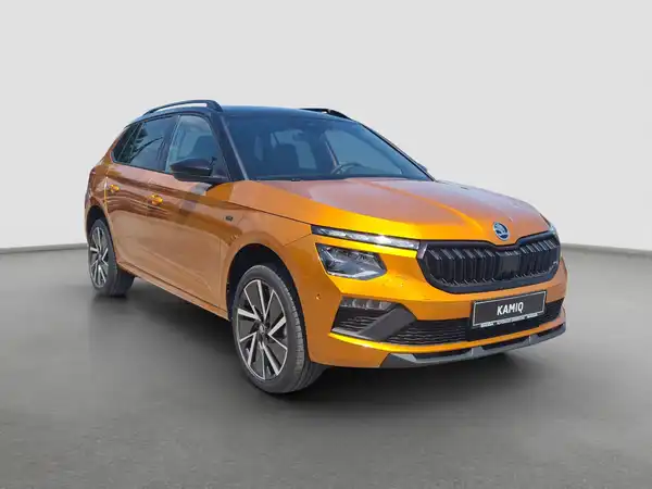 ŠKODA KAMIQ (4/17)