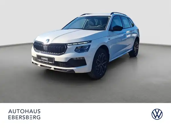 ŠKODA KAMIQ (2/16)