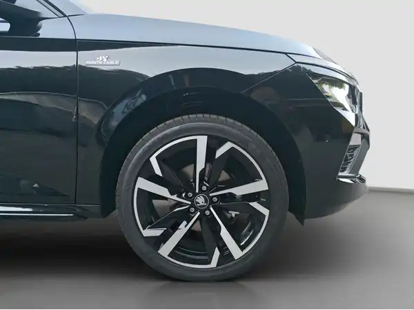 ŠKODA KAMIQ (16/16)