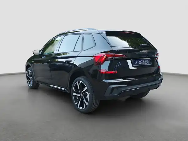 ŠKODA KAMIQ (7/16)