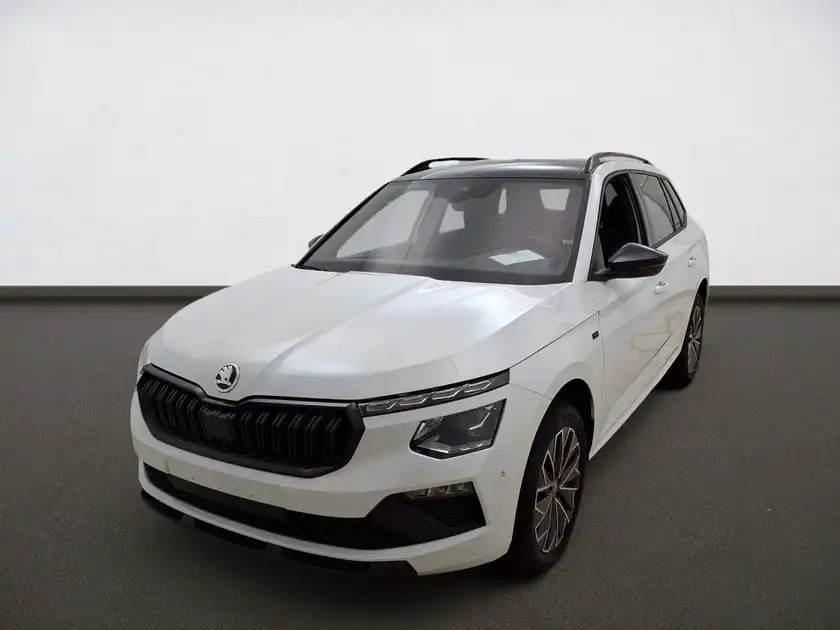 ŠKODA KAMIQ (1/4)