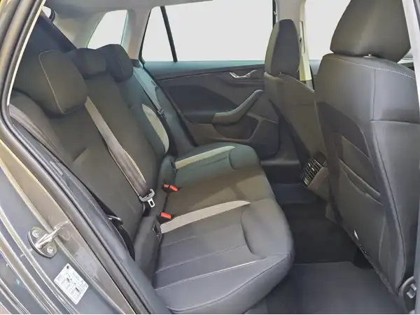 ŠKODA KAMIQ (15/16)
