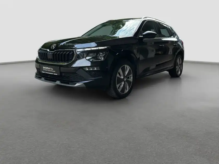 ŠKODA KAMIQ (1/16)