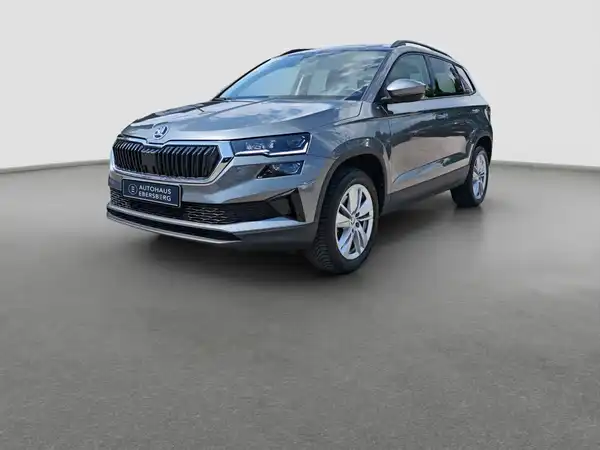 ŠKODA KAROQ (1/16)