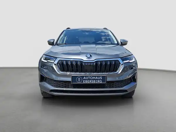 ŠKODA KAROQ (3/16)