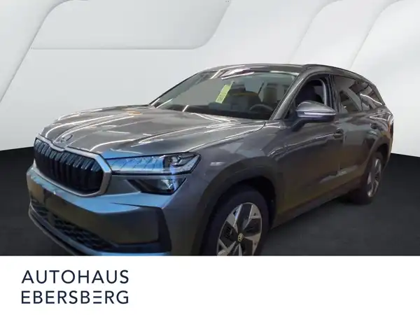 ŠKODA KODIAQ (2/5)
