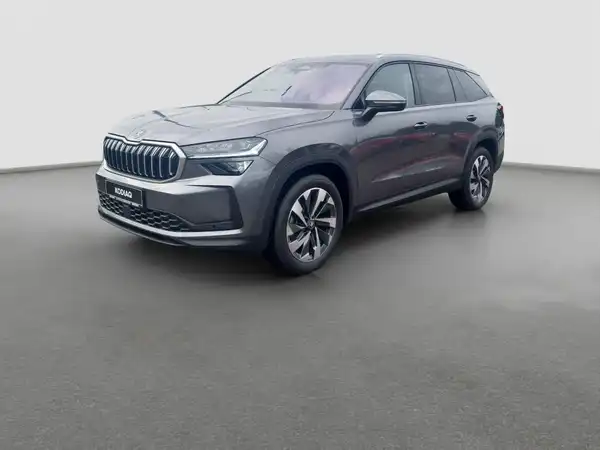 ŠKODA KODIAQ (1/17)