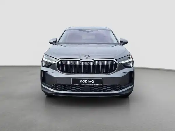 ŠKODA KODIAQ (3/17)