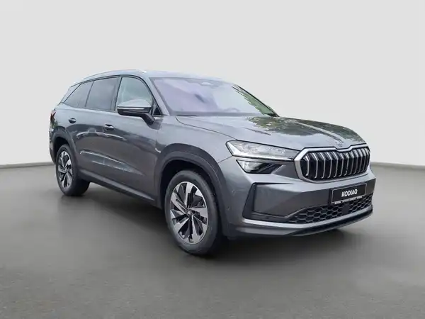 ŠKODA KODIAQ (4/17)