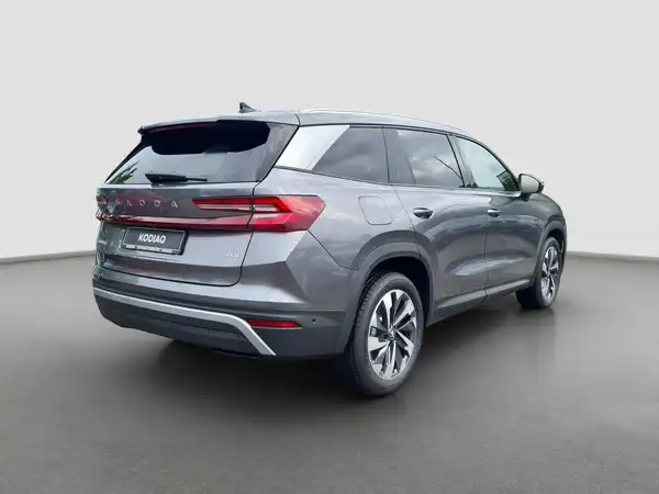 ŠKODA KODIAQ (5/17)