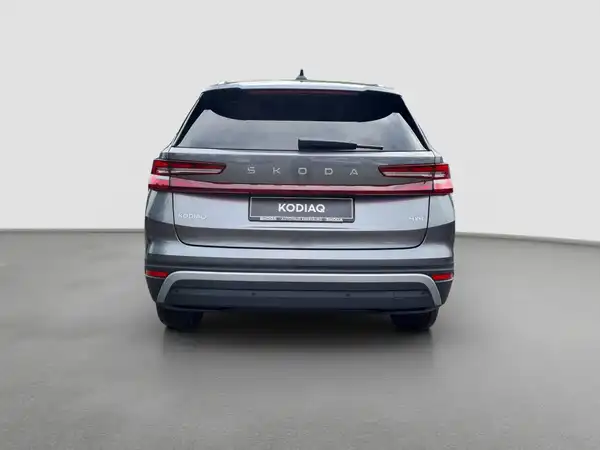 ŠKODA KODIAQ (6/17)