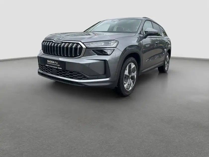 ŠKODA KODIAQ (1/16)