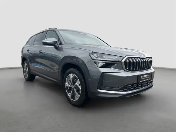 ŠKODA KODIAQ (4/16)