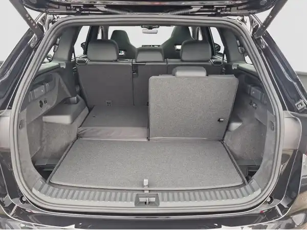 ŠKODA KODIAQ RS (13/17)