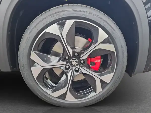 ŠKODA KODIAQ RS (17/17)