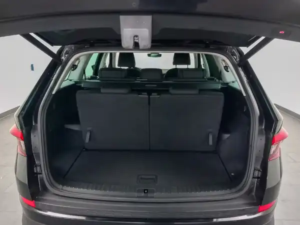 ŠKODA KODIAQ (15/21)