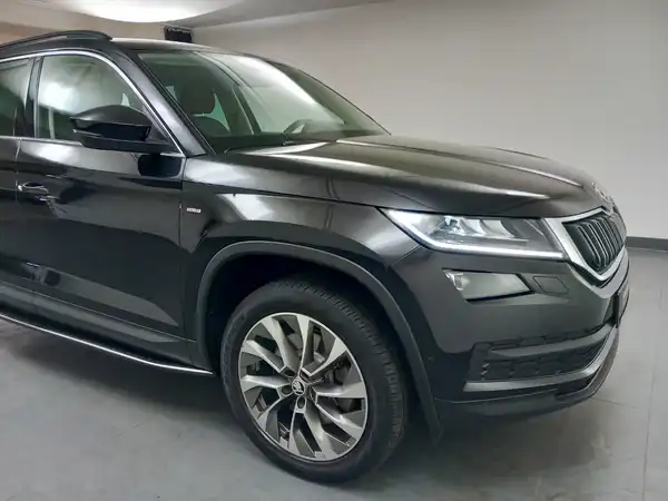 ŠKODA KODIAQ (19/21)