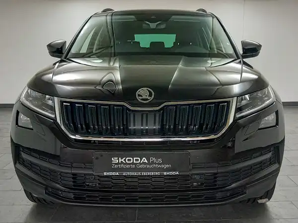 ŠKODA KODIAQ (3/21)
