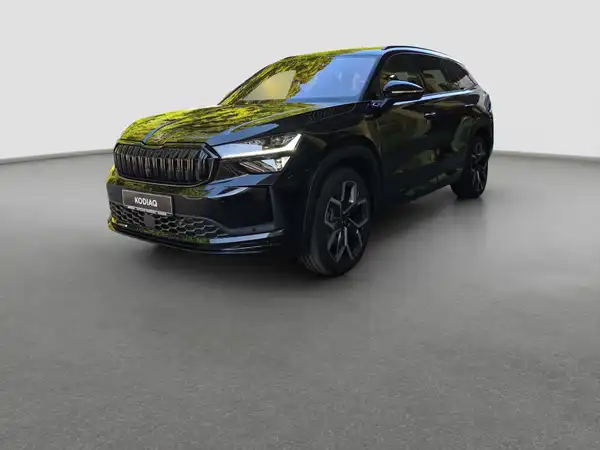 ŠKODA KODIAQ (1/17)