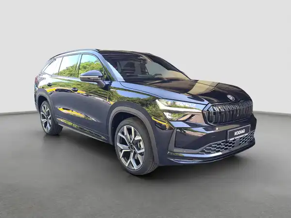 ŠKODA KODIAQ (3/17)