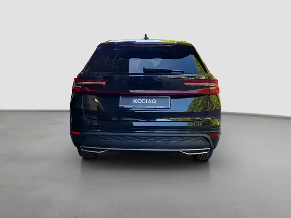 ŠKODA KODIAQ (5/17)