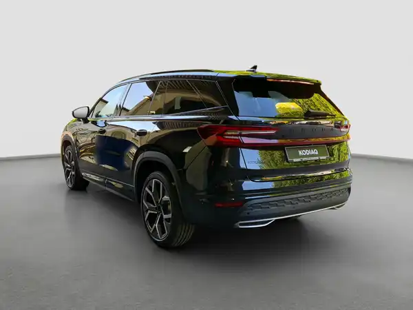 ŠKODA KODIAQ (6/17)