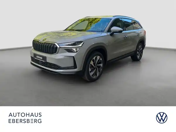 ŠKODA KODIAQ (2/17)