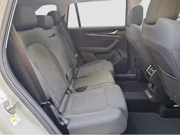 ŠKODA KODIAQ (16/17)