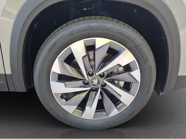 ŠKODA KODIAQ (17/17)