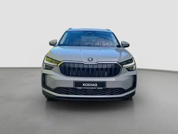 ŠKODA KODIAQ (3/17)