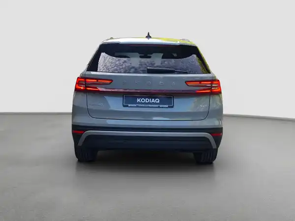 ŠKODA KODIAQ (6/17)
