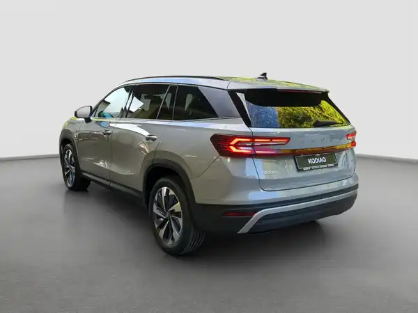 ŠKODA KODIAQ (7/17)