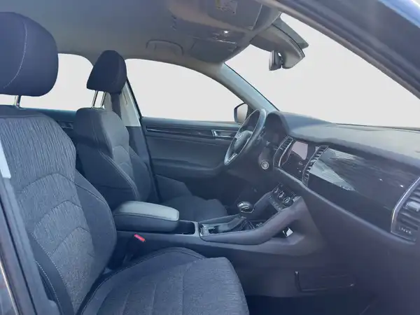 ŠKODA KODIAQ (14/16)