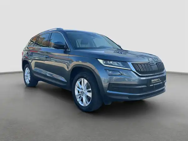 ŠKODA KODIAQ (4/16)
